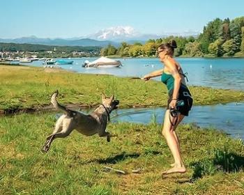 Donna gioca con cane felice vicino a lago, giornata soleggiata e panoramica montagna.