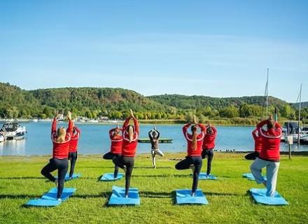 Gruppo fa yoga all'aperto, pace e natura, vicino a un lago.